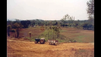 Fazenda, 236 hectares - Foto 4