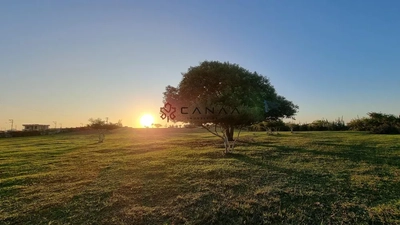 Terreno, 136000 hectares - Foto 1