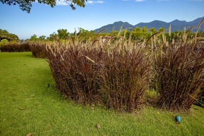 Casa de Condomínio, 5 quartos - Foto 1