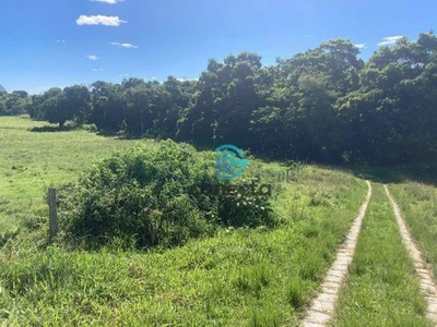 Fazenda-Sítio-Chácara, 24 hectares - Foto 3