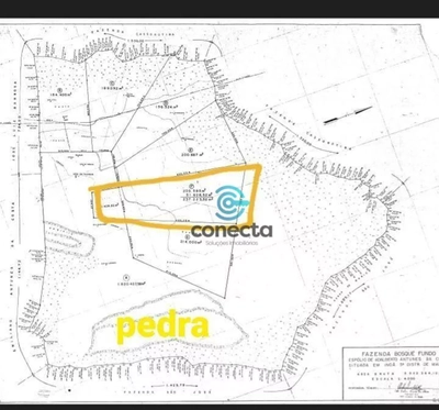 Fazenda-Sítio-Chácara, 24 hectares - Foto 5