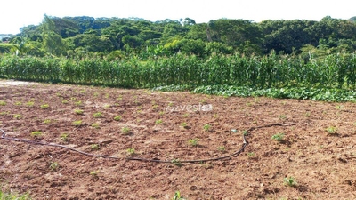 Chácara, 1 quarto, 5800 m² - Foto 4