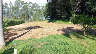 Chácara, 1 quarto, 5800 m² - Foto 2