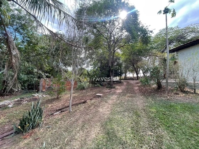 Terreno, 3 hectares - Foto 4