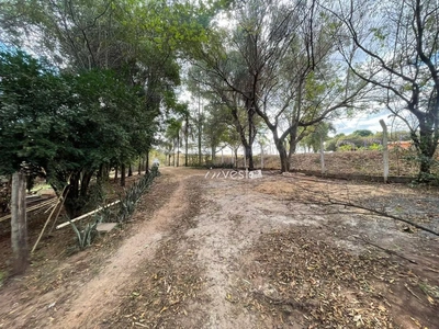 Terreno, 3 hectares - Foto 3