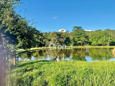 Chácara, 4 quartos, 1540 m² - Foto 3