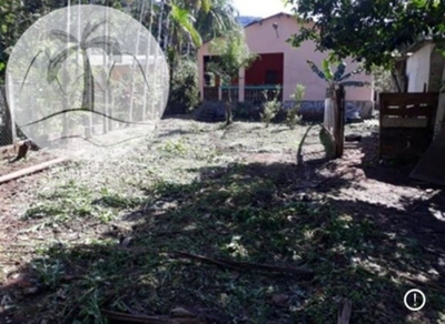 Sítio, 4 quartos - Foto 2