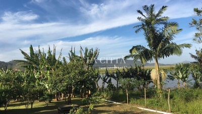 Terreno, 2134 m² - Foto 3