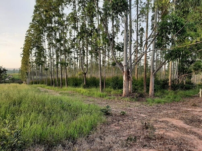 Fazenda, 118 hectares - Foto 2