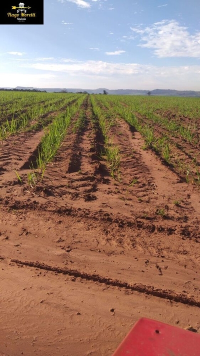 Fazenda-Sítio-Chácara - Foto 2