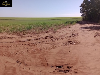 Fazenda-Sítio-Chácara - Foto 5