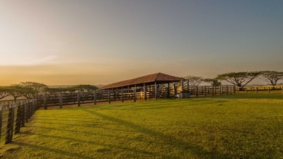 Fazenda, 107 m² - Foto 3