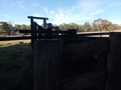 Fazenda, 131 hectares - Foto 4