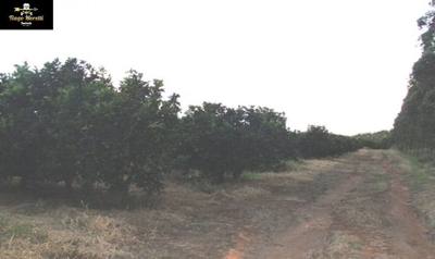 Fazenda, 170 m² - Foto 5