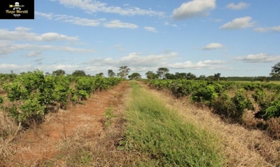 Fazenda, 170 m² - Foto 1