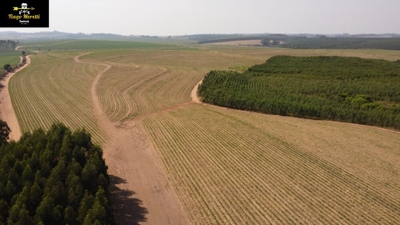 Fazenda-Sítio-Chácara - Foto 3