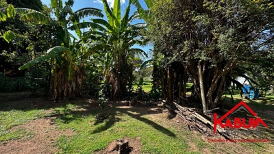 Chácara, 3 quartos - Foto 5