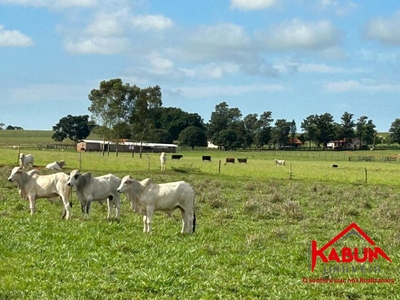 Fazenda-Sítio-Chácara, 220 m² - Foto 3