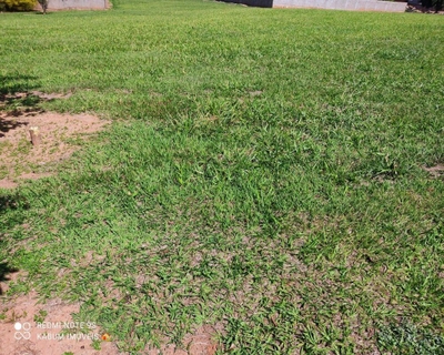 Terreno, 1250 m² - Foto 1