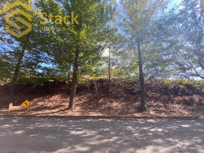 Terreno, 5000 m² - Foto 4