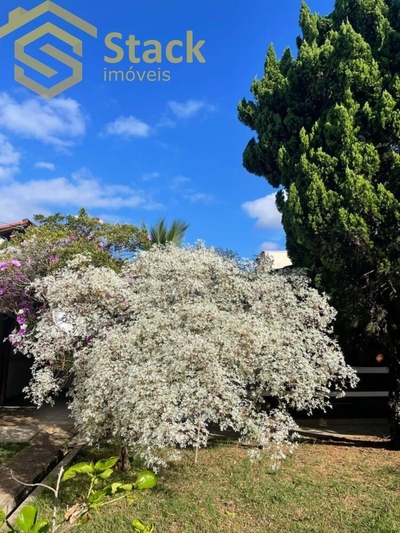 Chácara, 3 quartos - Foto 4