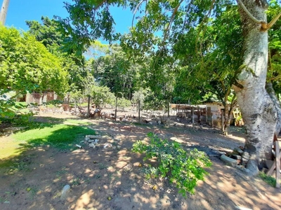 Chácara, 3 quartos, 390 m² - Foto 3