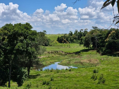 Sítio, 7 hectares - Foto 2