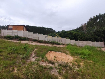 Sítio, 1 quarto, 500 m² - Foto 4