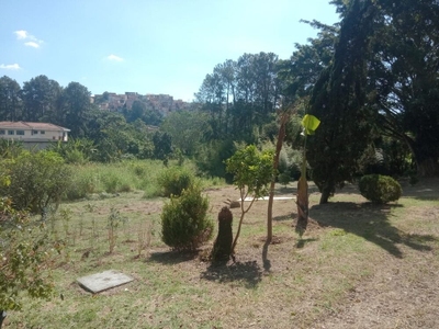 Terreno, 12500 m² - Foto 2