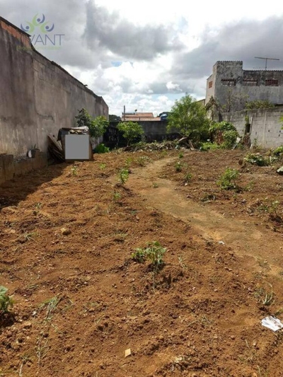 Terreno, 265 m² - Foto 4