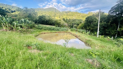 Sítio, 4 quartos, 2 hectares - Foto 3