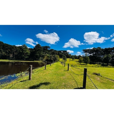 Sítio, 4 quartos, 6 hectares - Foto 4