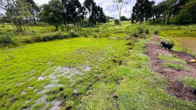 Terreno, 13811 m² - Foto 4