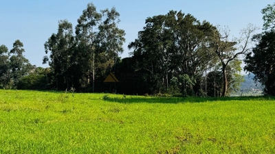 Fazenda-Sítio-Chácara - Foto 5