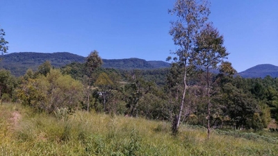 Sítio, 25336 m² - Foto 5