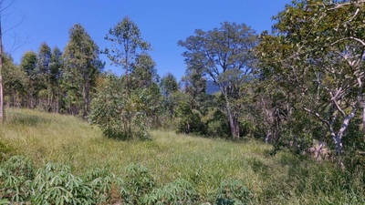 Sítio, 25336 m² - Foto 1