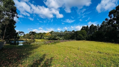 Chácara, 5 quartos, 3 hectares - Foto 5