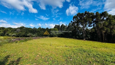 Chácara, 5 quartos, 3 hectares - Foto 3