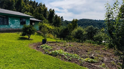 Chácara, 2 quartos, 7 hectares - Foto 3