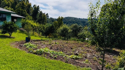 Chácara, 2 quartos, 7 hectares - Foto 4