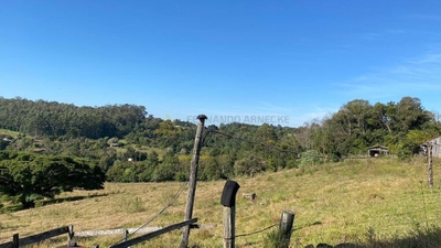 Sítio, 2 hectares - Foto 4