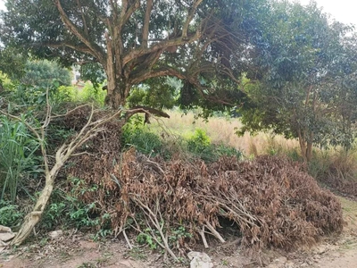 Terreno, 480 m² - Foto 4