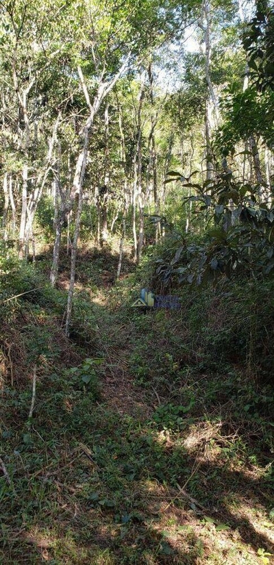 Terreno, 1610 m² - Foto 4