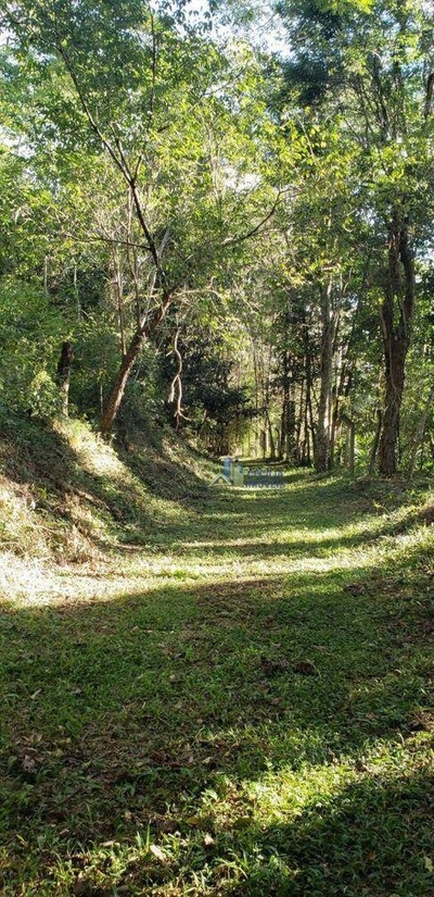 Terreno, 1610 m² - Foto 1