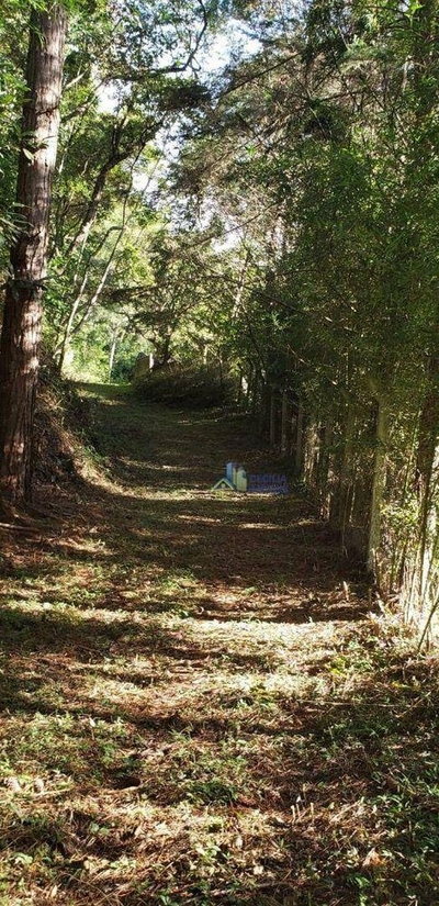 Terreno, 1610 m² - Foto 5