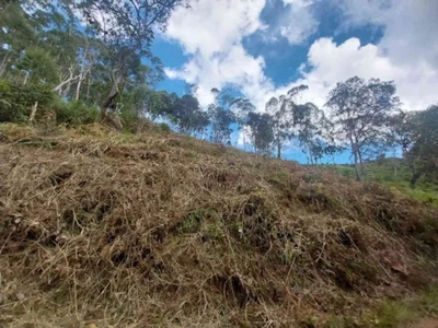 Terreno, 2156 m² - Foto 3