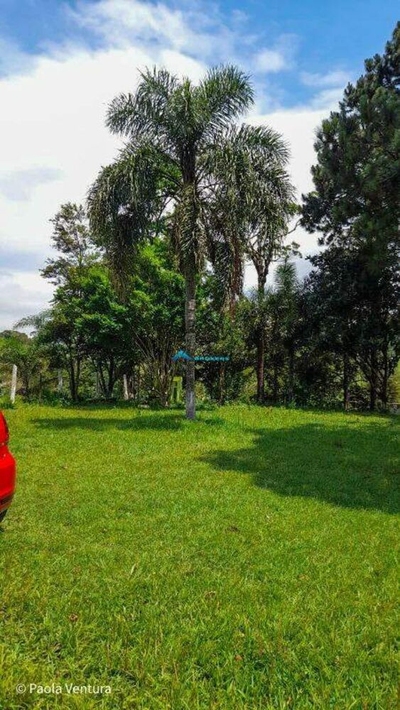 Chácara, 3 quartos, 5029 m² - Foto 5