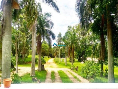 Chácara, 9 quartos, 4500 hectares - Foto 4