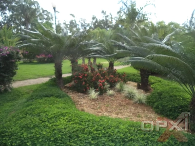 Terreno, 300 m² - Foto 4