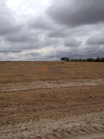 Sítio, 4 quartos, 46 m² - Foto 3